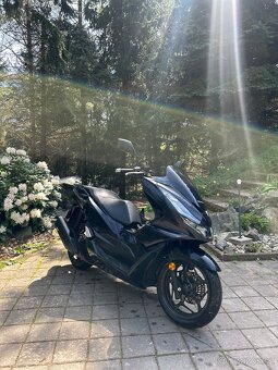 Honda pcx 125ccm - 6