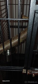Klec pro papoušky - 6