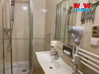 Pronájem apartmánu, 110 m², Plzeň, ul. Zbrojnická - 6