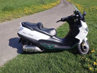 Piaggio X9 500 - 6