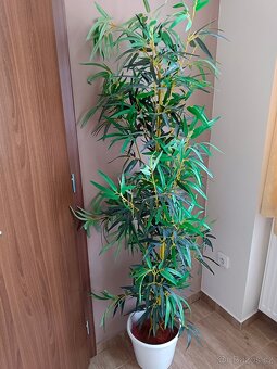 Uměle velké květiny - 6