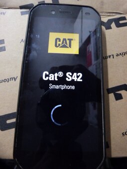 Cat - 6