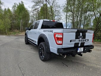 Ford F 150 - 6