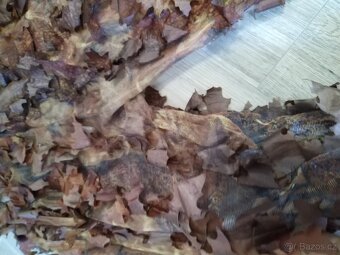 Leaf suit - 6