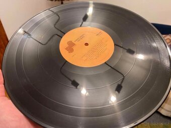 Harvey Mandel – The Snake. LP - 6