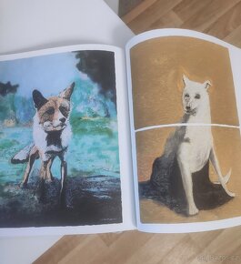 Šumava patafyzická- Faltus, Steigerwald - 6