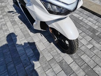 Honda Pcx 125 Dx -ČR 6let záruka Bílá - 6