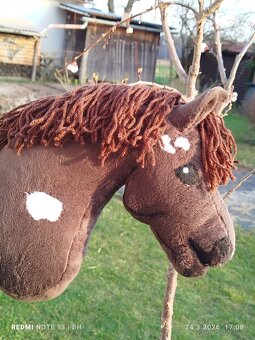 Hobby horse - 6
