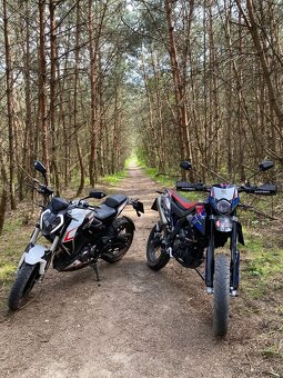 Aprilia sx 125 2022 - 6