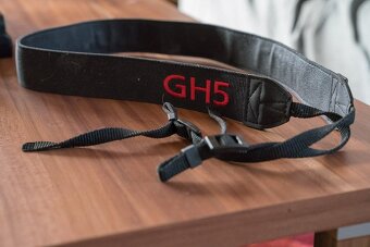 Panasonic Lumix DC-GH5 + 12-60mm LEICA F2,8-4,0 DG Vario-Elm - 6