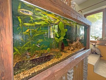 Rodinný dům 5 + kk s fotovoltaikou a zahradou 597 m², lokali - 6