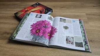 Krásná encyklopedie ROSTLINY, Knižní klub - 6