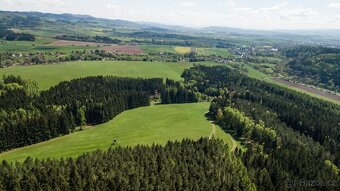Prodej lesa 20336 m² – Heřmánkovice - 6