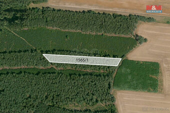 Prodej lesa, 33090 m², Rybnice - 6