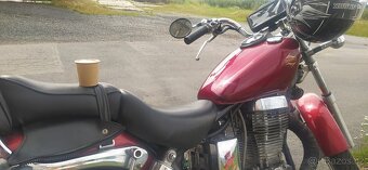 Suzuki Savage LS 650 - 6