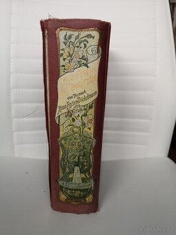 Starožitná kniha, lékařská příručka - 6