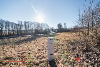 Prodej, pozemky/bydlení, 3069 m2, Horní Vojtanov 101, 35134 - 6