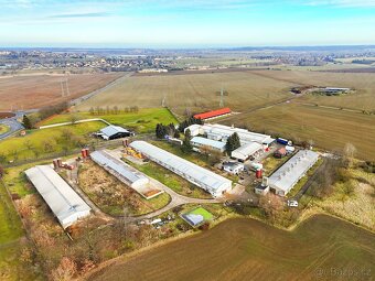 Prodej zemědělského objektu, 4000 m2, Lány - 6