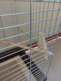 Alexander ciernohlavy - 6