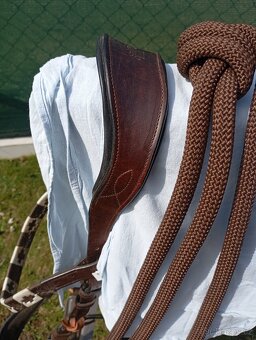 Hackamore drak,uzdečka,oteze - 6