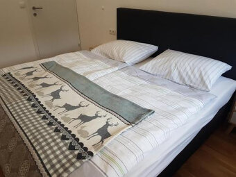 Jedinečna investiční příležitosti v Rakouskych Alpach - 6