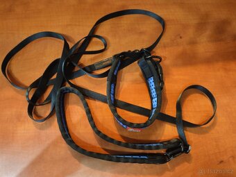 Sada Tamer obojek modrý + vodítko 3m - 6