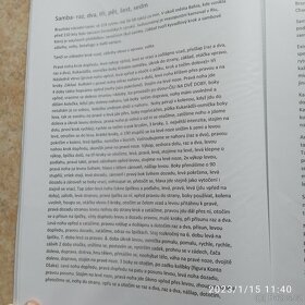 Portfolio společenských a latinskoamerických tanců - 6