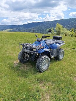 Polaris Magnum 325 - 6