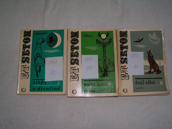 Staré dobrodružné knihy - 6