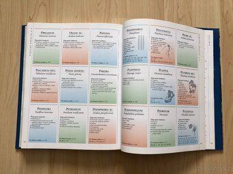 Kniha: Encyklopedie homeopatie - Lockie Andrew - 6