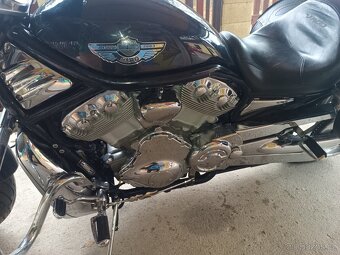 HARLEY DAVIDSON V-ROD - 6