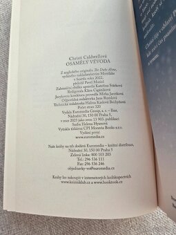 Osamělý vévoda - Christi Caldwell - 6