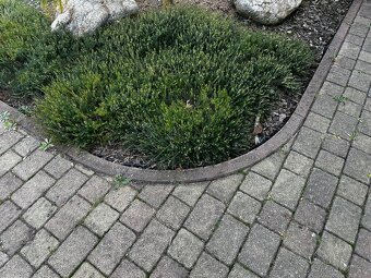 Obrubník BEST oblouk - 6