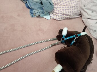 Hobby horse - 6