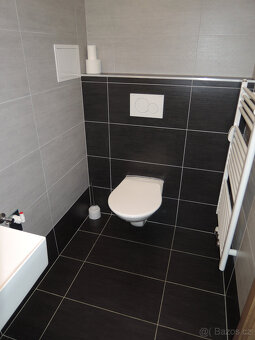 Byt/apartmán 1+kk Všemina u Slušovic - 6