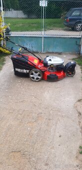 Prodám - 6