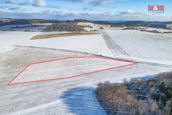 Prodej louky, 10193 m², Lešetice - 6