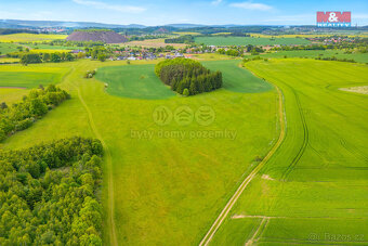 Prodej louky, 10193 m², Lešetice - 6