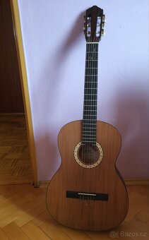 Kytara strunal - 6