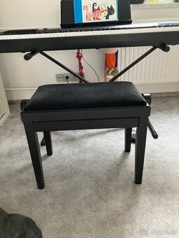 Piano - 6