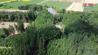 Prodej lesa, 5323 m², Olší u Opařany - 6