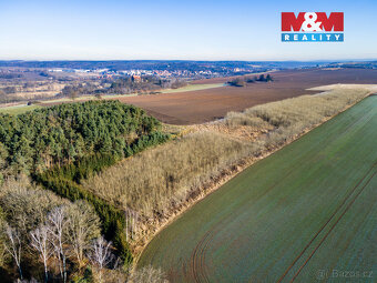 Prodej pole, 24512 m², Horšovský Týn - 6