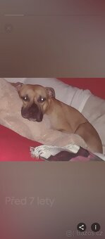 Nabídka je krytí - 6