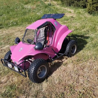 HAVEL BUGGY - 6