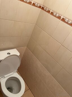 Pronájem bytu v Rožďalovicích - 6