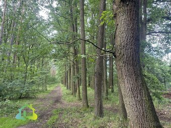 Prodej pozemku pro bydlení, 1132 m² - Klenovice, ev.č. 00722 - 6