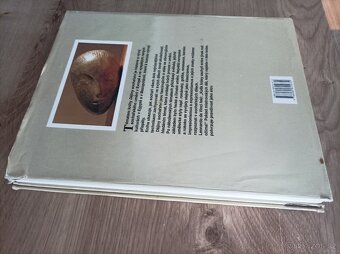 Dějiny sochařství / W. Stadler - 6