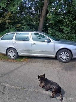 Škoda  octavia  2 rok  2007 - 6