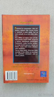 Sedmá věž: celá série knih 1-6 (Garth Nix) - 6