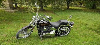 HARLEY DAVIDSON FXSTSI SPRINGER - 6